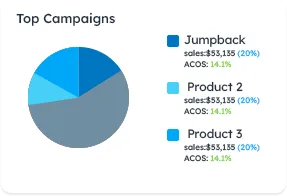 Top campaigns pie chart